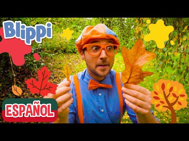 Aprende los colores con Blippi | Aprende con Blippi | Aprender los Colores