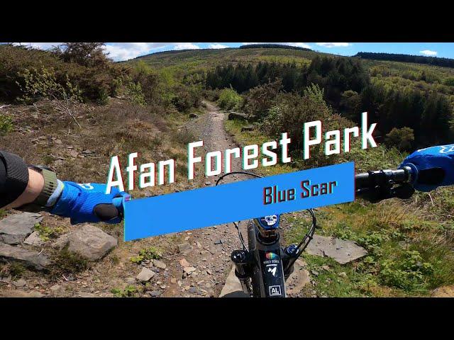 Afan Forest Park -   Blue Scar Trail