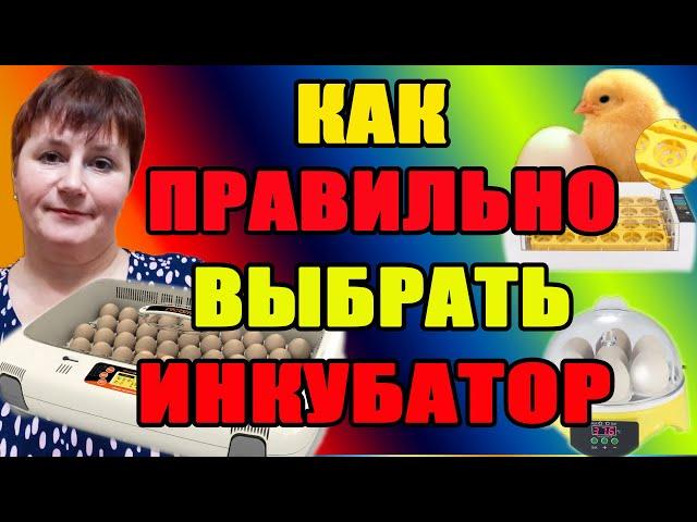 Как правильно выбрать инкубатор. Мой опыт.