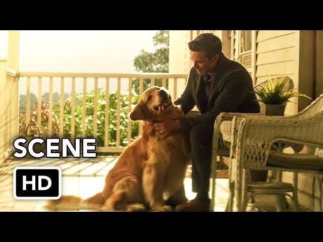 Superman & Lois 4x10 Epilogue "Krypto" Scene (HD) Series Finale