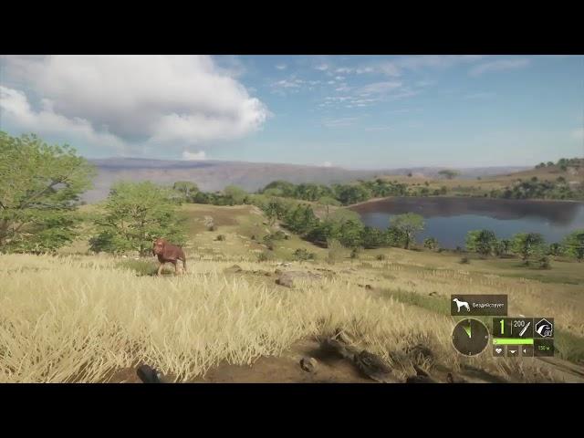 Охота на Льва в Африке | The Hunter Call of the Wild