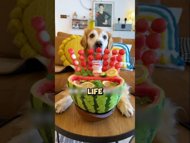 Benji Made a Delicious Watermelon! 