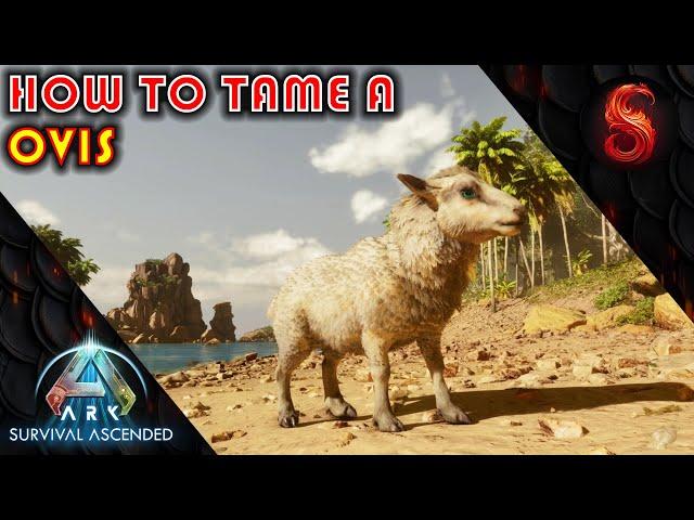 ARK SURVIVAL ASCENDED WHERE TO FIND AND HOW TO TAME OVIS