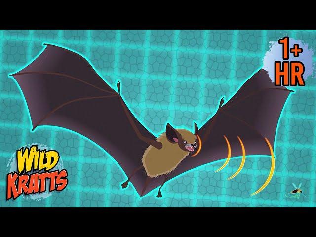 Fearless Bats! Bat Rescue Mission | Animal Cartoons for Kids | Wild Kratts | 9 Story Kids