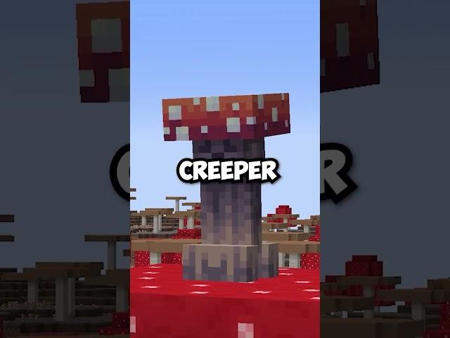 The Minecraft Creepers You've Never Seen