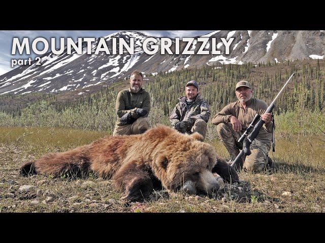 MOUNTAIN GRIZZLY part 2