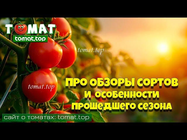 Про обзоры сортов и об особенностях прошедшего томатного сезона  Для лучшего взаимопонимания