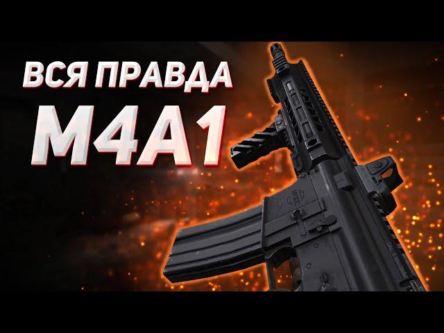 ARENA BREAKOUT | M4A1 | ВСЯ ПРАВДА О M4A1 В АРЕНА БРЕЙКАУТ