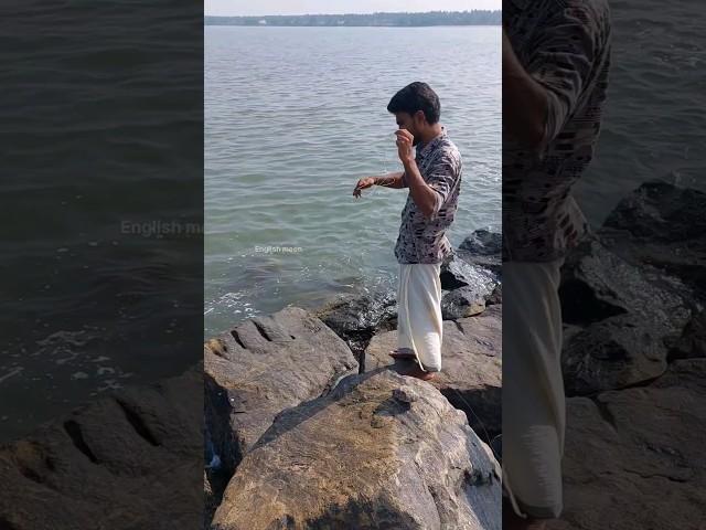 എല്ലാരും കടിച്ച് കേറി വാ.. #fishing #fisherman #seafishing #fishingmalayalam #shorts #fish