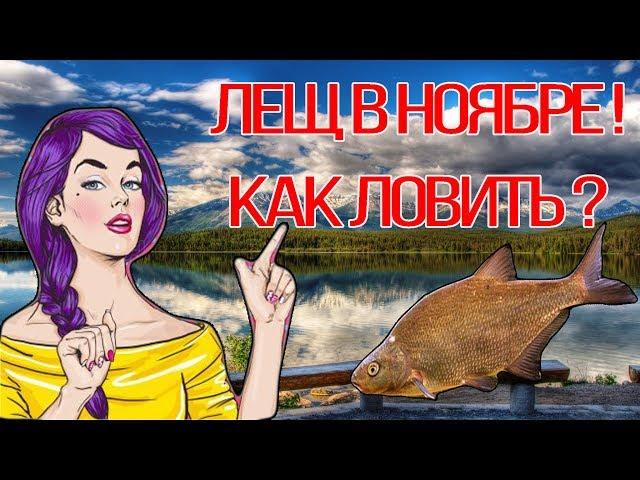 Как и на что ловить леща в ноябре , секреты ловли леща в ноябре