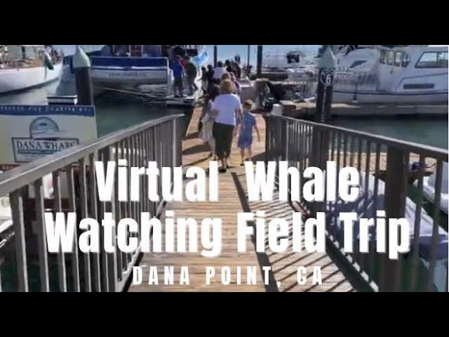 Virtual Whale Watching Field Trip Dana Point , Ca.