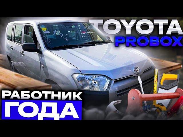 Работник года | Обзор Toyota Probox NSP160️