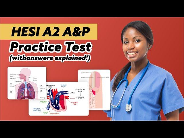 HESI A2 Anatomy and Physiology Practice Test