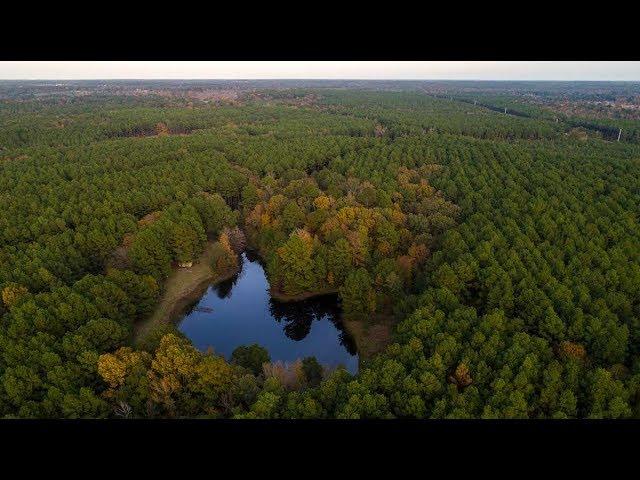 East Texas Ranches For Sale