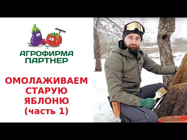 ОМОЛАЖИВАЕМ СТАРУЮ ЯБЛОНЮ. ВОЛШЕБНАЯ ЗАМАЗКА (часть 1)