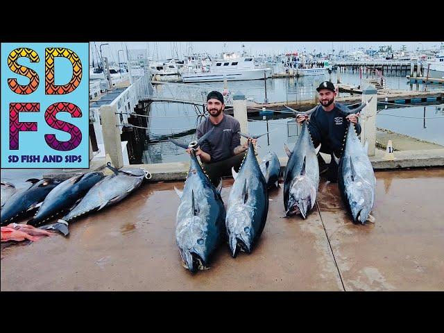 SAN DIEGO FISHING REPORT | BIG BLUEFIN TUNA Sportfishing Offshore & LA JOLLA YELLOWTAIL May SDFS