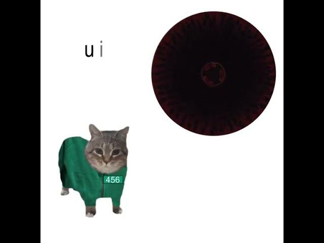 https://uiacat.ca/collections/all u ii aio ui a i o squid game UIA Cat Cover - mingle uia #cat