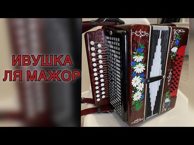 Красавица Ивушка!!! Гармонь в продаже