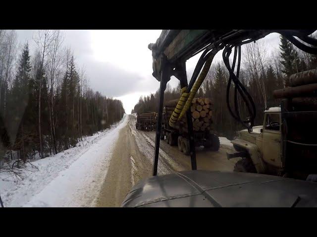 Подборка разных видео. Зима 2024. Урал Лесовоз.