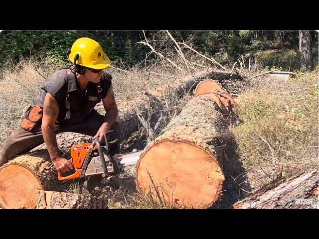 Husqvarna! Making Chainsaw Great Again.