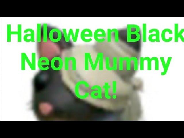 Хэлоуинская Чёрная Неон Мумия Кошка! Halloween Black Neon Mummy Cat!Адопт ми