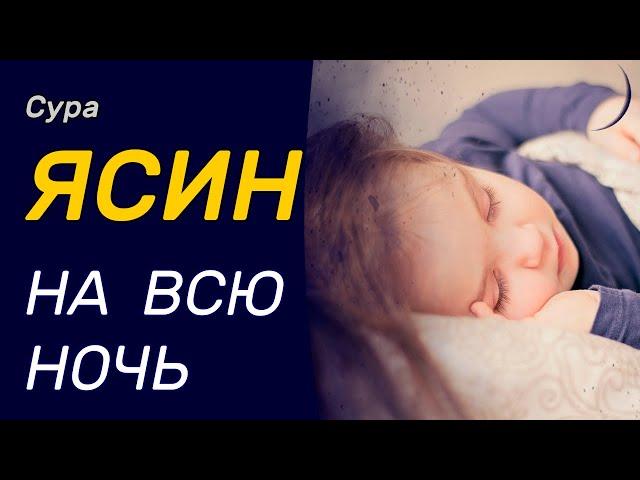 Ясин на всю ночь - слушайте каждый день.