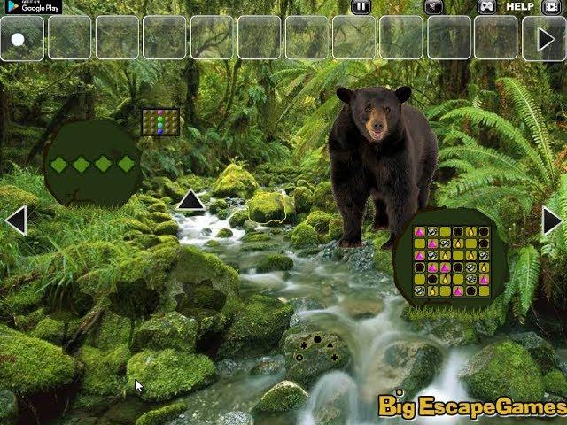 Big Bear Land Escape Walkthrough [BigEscapeGames]