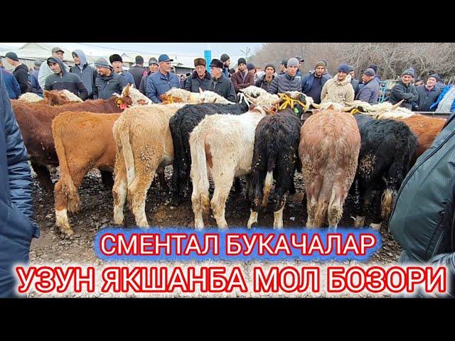 УЗУН ЯКШАНБА МОЛ БОЗОР НАРХЛАРИ