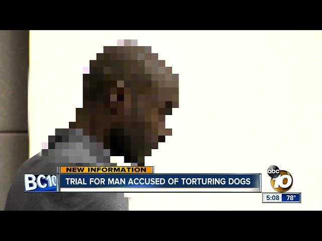 Trial for man accused of torturing dogs