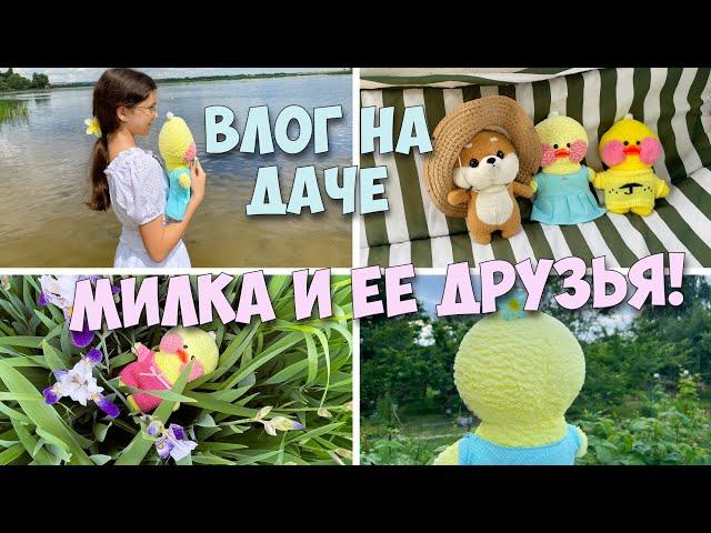 ВСТРЕЧА УТОЧКИ МИЛКИ И ЕЕ ДРУЗЕЙ! Наш летний день на даче!