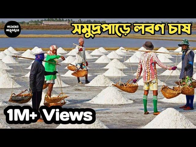 কিভাবে লবণ তৈরি হয় || এক ভিডিওতে পুরো বিষয় জানুন