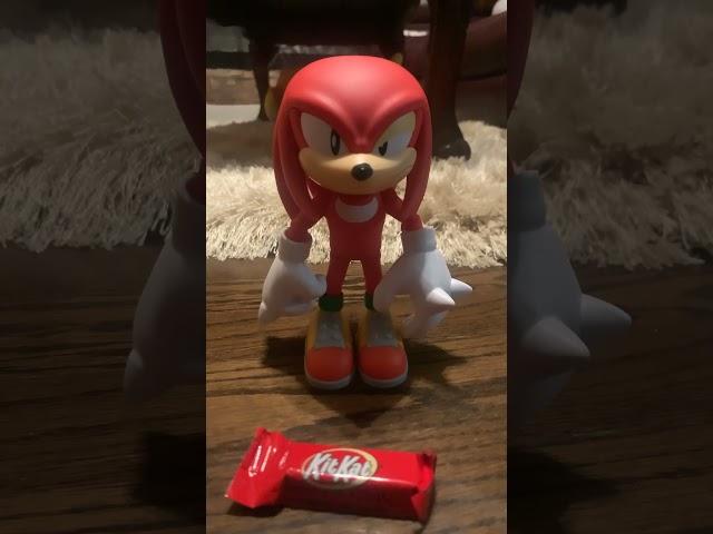 if the meatloaf is in the baby crib #sonicthehedgehog #knuckles #sonicandknuckles ￼