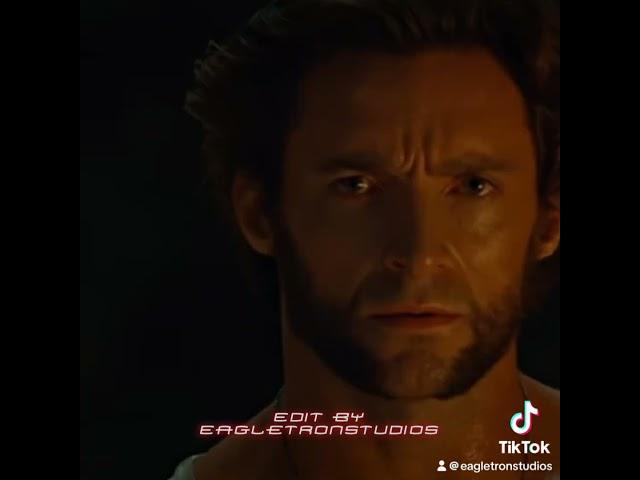 Wolverine edit