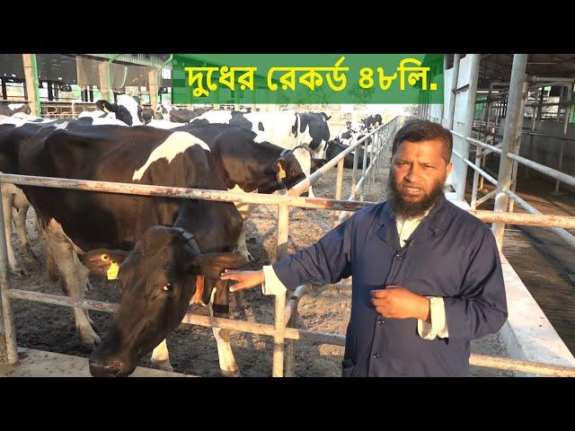 বিমানে করে ১০০% অষ্ট্রেলিয়ান গরু আনার পর যা হলো | Eon Hi Tech Dairy Farm