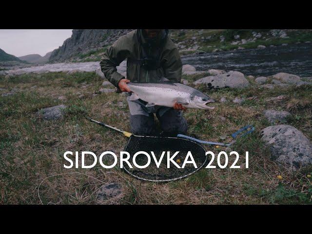 Ловля сёмги нахлыстом на Кольском 2021. Река Сидоровка. Fly fishing for salmon on the Kola Peninsula