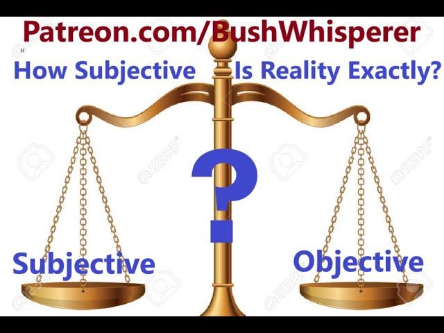 How Objective Is This Subjective Experience of Reality? #BushWhisperer