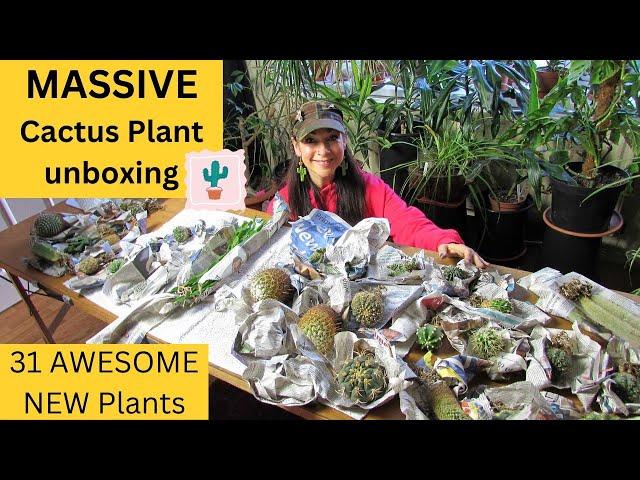 MASSIVE Cactus Plant Unboxing | 31 INCREDIBLE new Plants #cactus #cacti