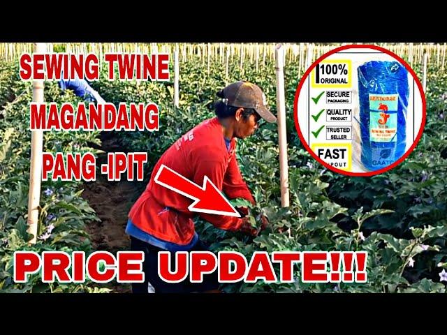 BEST NA PANG-IPIT NG TALBOS NG TALONG/PRICE UPDATE/SEWING TWINE