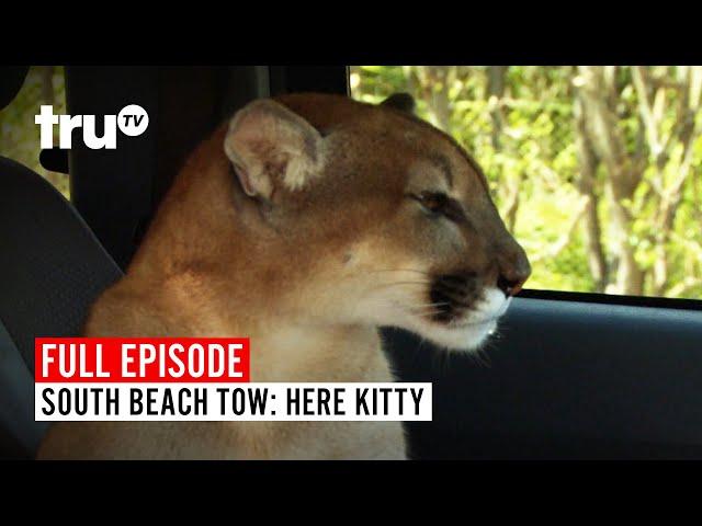 South Beach Tow | Season 5: Here Kitty | Watch the Full Episode | truTV