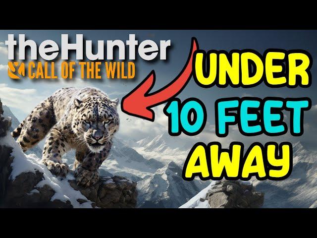 BOW Hunting SUNDARPATAN Animals - TheHunter: Call of the Wild