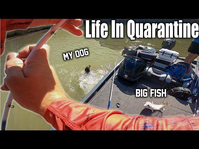 Life in Quarantine: Episode 1 - Jumping in head first