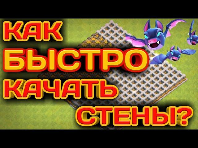 КАК БЫСТРО КАЧАТЬ СТЕНЫ НА 10ТХ, 11ТХ И 12ТХ? МЫШИ ПОМОГУТ!  ОТЛИЧНО ФАРМИМ НА ЗАБОР БЕЗ ЗАТРАТ!