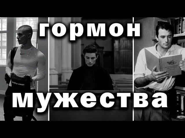 Тестостерон - главный мужской гормон | Как поднять уровень тестостерона