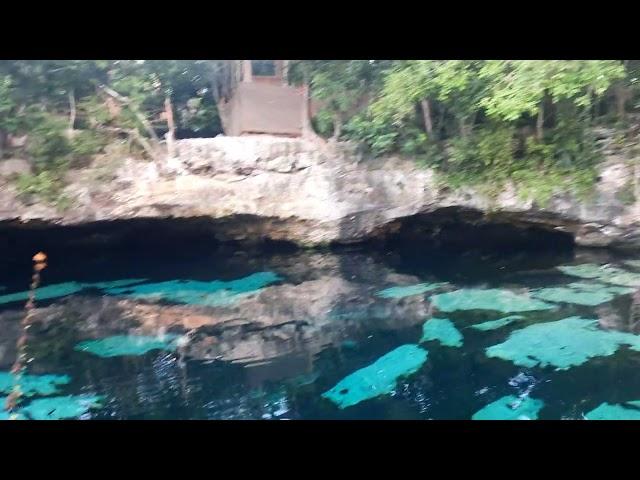 Nelly at Cenote Azul, Yukatan (short version)