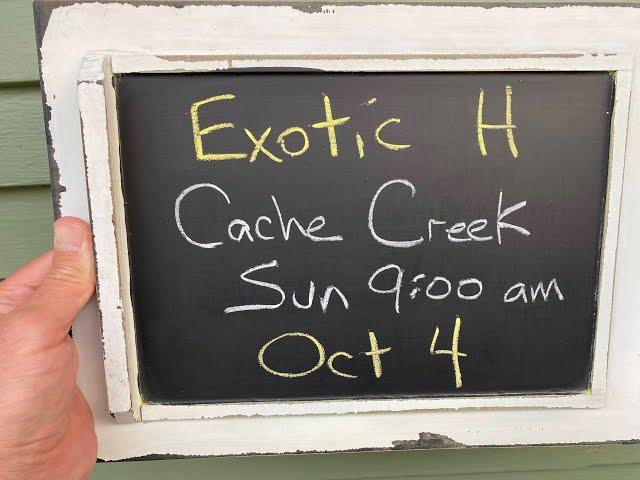 Exotic H - Cache Creek