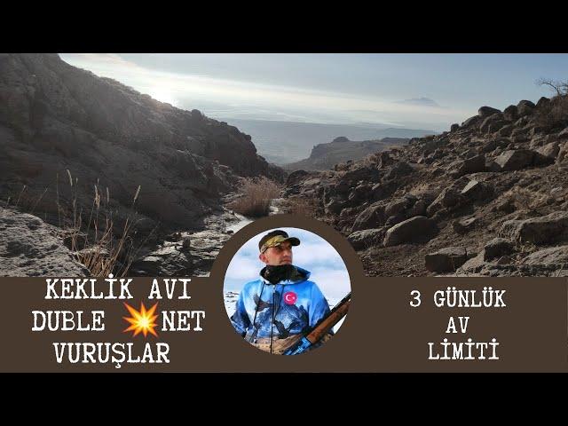 Keklik Avı (3 Günlük av limiti bol ötüş vuruş çokça kanatsesi)#perdrix #patridge #hunter #kekliksesi