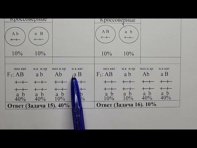 Генетика.  Задачи.  Часть 9.   Сцепленное наследование. Кроссинговер.
