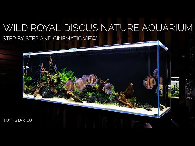 Wild ROYAL Discus Nature Aquarium of 200x60x70cm at Twinstar EU