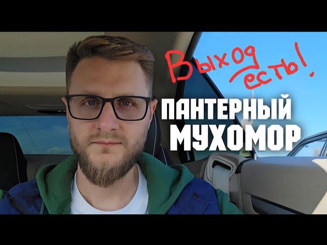 Когда жизнь идёт по кругу, а выхода нет... / Пантерный Мухомор