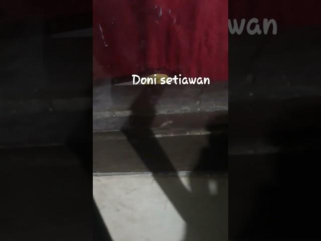 doni setiawan